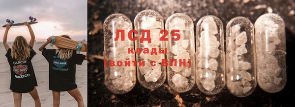 гидропоника Алзамай