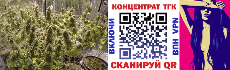 ТГК THC oil  Светлоград 
