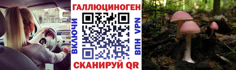 Псилоцибиновые грибы ЛСД Светлоград