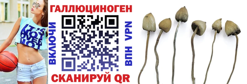 Псилоцибиновые грибы мицелий  hydra как зайти  Светлоград 