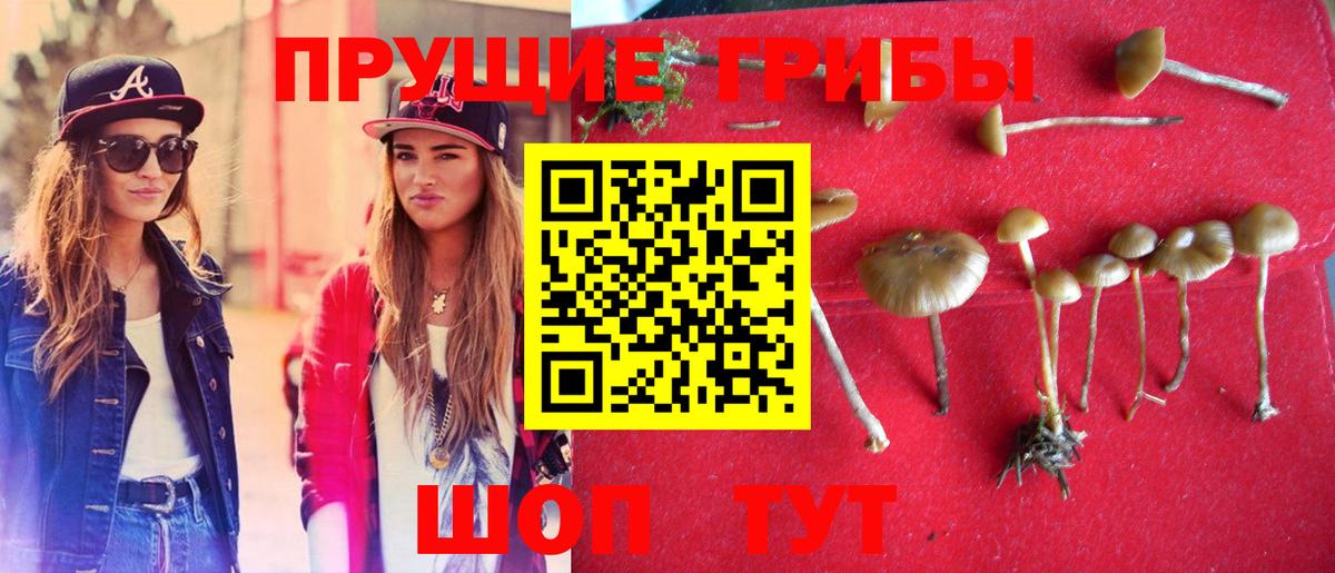 Светлоград  Псилоцибиновые грибы Magic Shrooms  Вход с VPN 